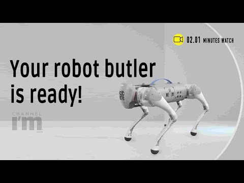 Quadrupedal robots like Go 1 and Spot are gaining traction in the robotics industry