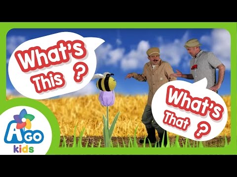What's This? What's That? | English Kids Songs | BINGOBONGO Learning