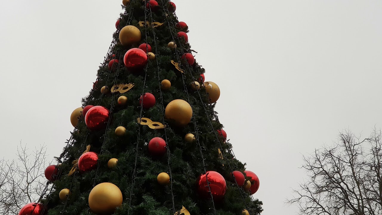 Слушать елка шарики. Енакиево шарики елка. Про долгострящую новогоднюю елку. Балаково шары елка городская. Песня ёлка шарики хлопушки.