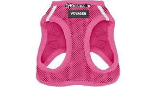 Voyager Step-in Air Dog Harness Review: Is It Worth the Hype for Small & Medium Pets?