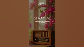 تلاوة خاشعة من سورة التكوير 📖✨ | الشيخ عبد الباسط عبد الصمد