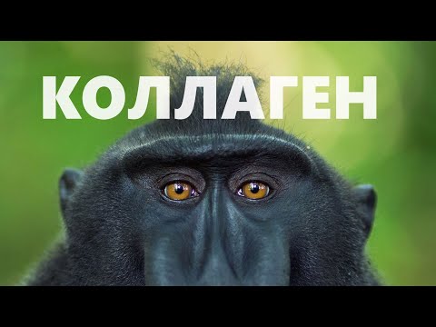 Есть ли смысл в принимать? Разные типы и виды коллагена