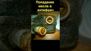 масло в антифризе причина