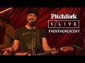 Phosphorescent  public arts  pitchfork live