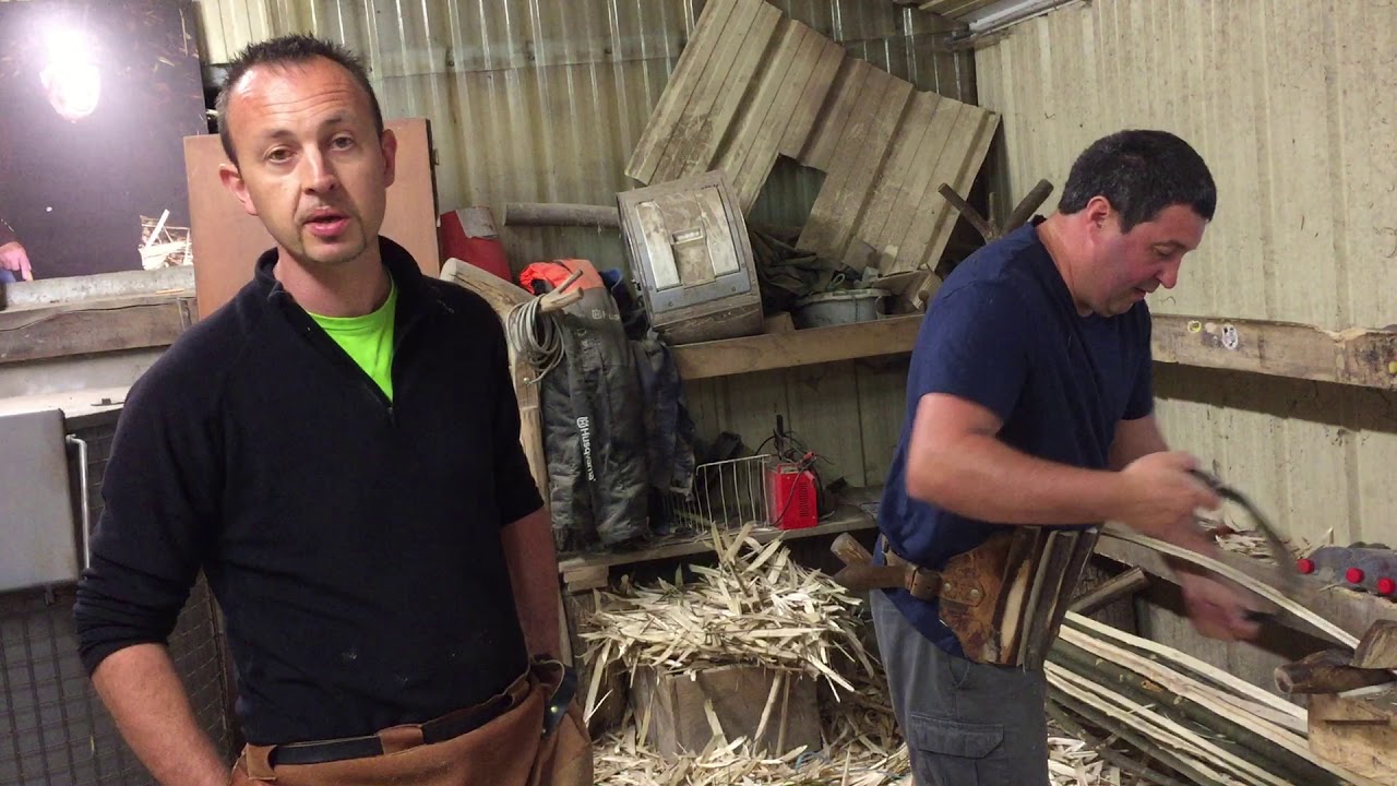 actualités 意味 feuillardier