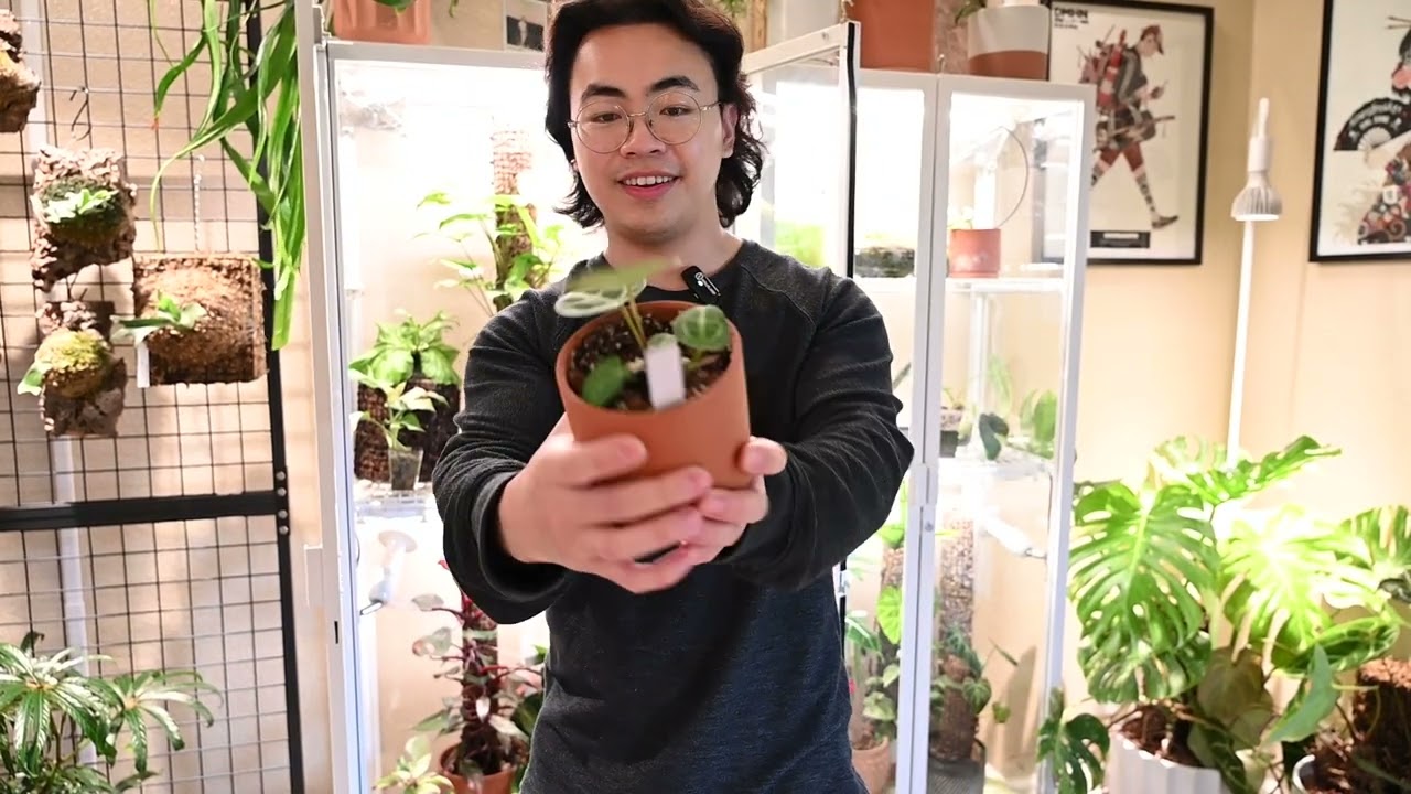 2025 Apartment Plant Tour