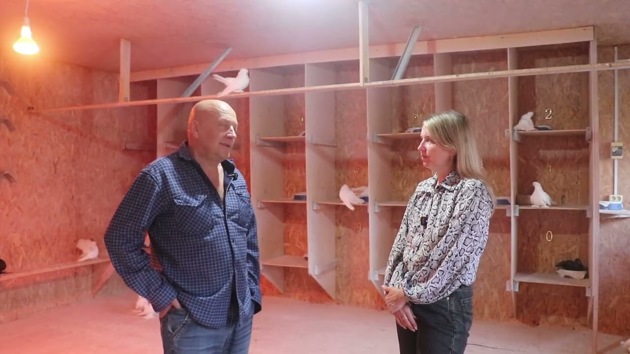 Омские белые хохлатые и Петропавловские шалевые Сусленко Сергея.