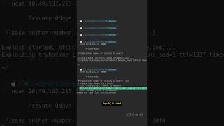 input() = shell access