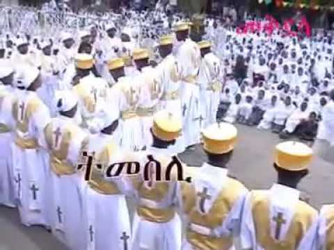 ቪዲዮ: በሟች ኮምባት 11 ጭካኔ መቼ ነው የሚሰራው?