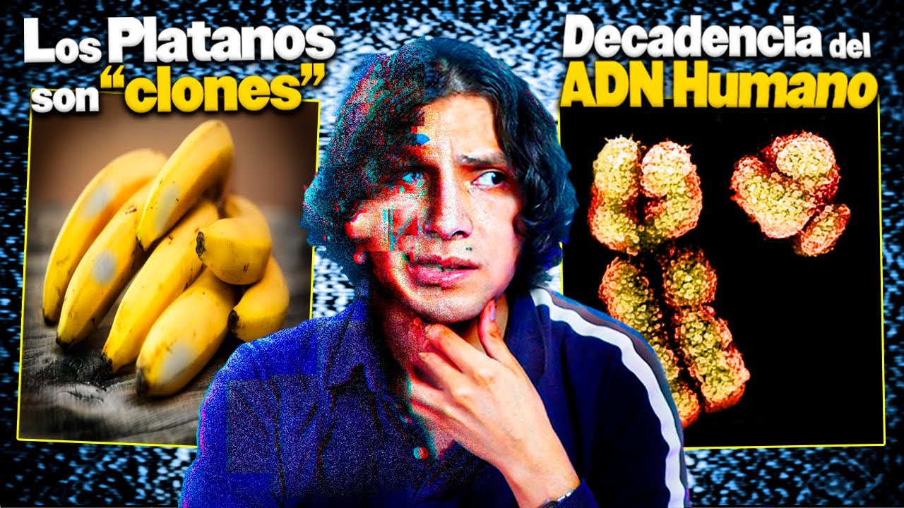 Datos Pequeños que te pueden J%D3R la MENTE