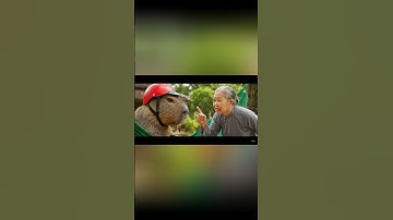 Capybara đưa em ngủ và cái kết khiến bà té xĩu #capybara