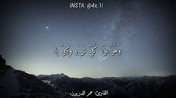 الله خالق كل شيءٍ || حالات دينية || القرآن الكريم