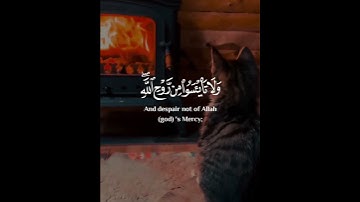 سوره یوسف / شیخ خالد الجليل #قرآن