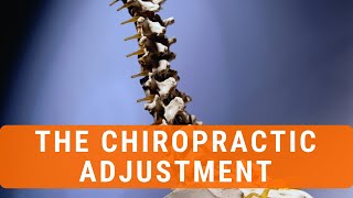 Celebrity The Science Behind The Chiropractic Adjustment Net Worth