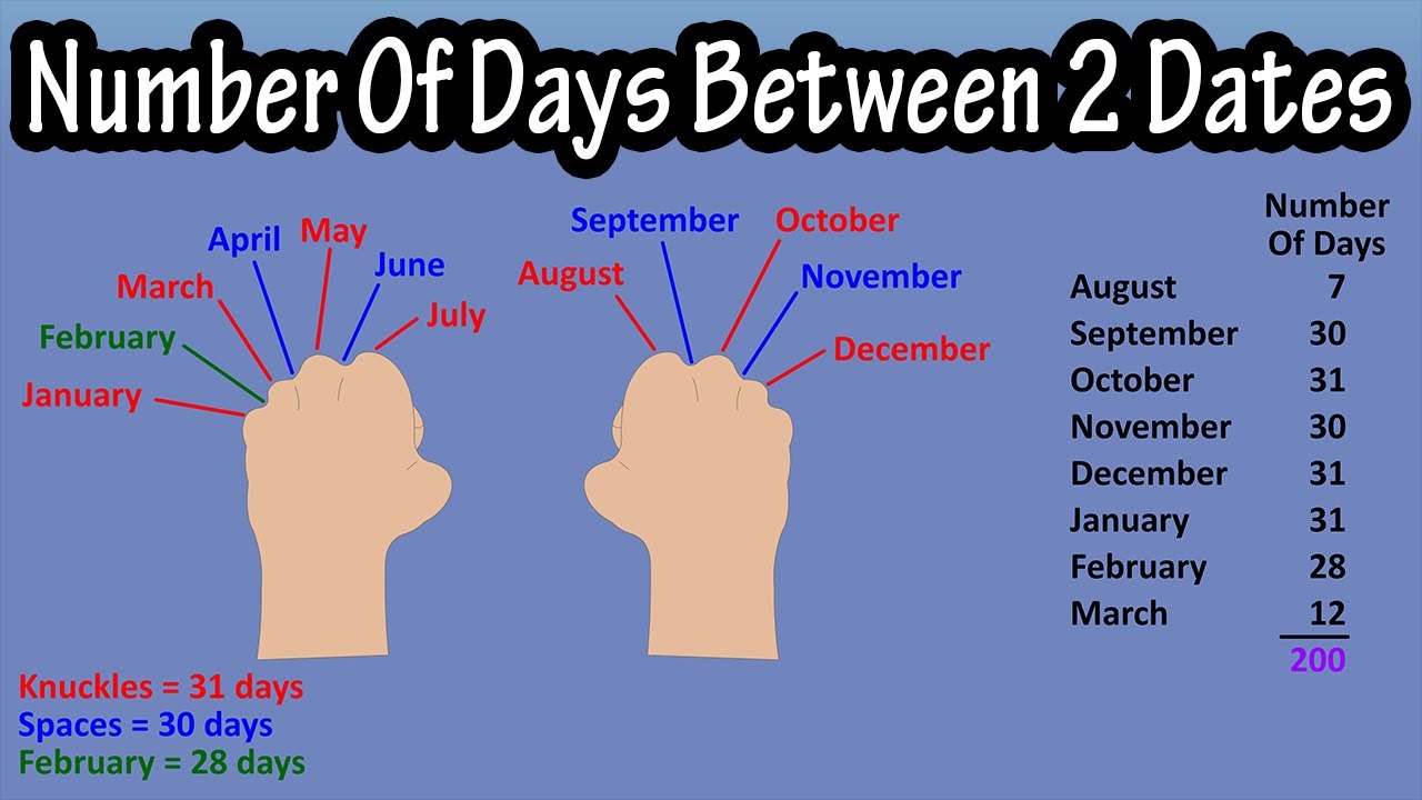 Months between. Number of Days in month. How many Days in each month. Between Days. Numbers and Dates.