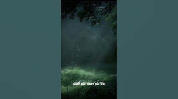 ٱللَّهُ ٱلَّذِي خَلَقَ ٱلسَّمَٰوَٰتِ وَٱلۡأَرۡضَ ||القارئ المنشاوي #الحمدلله #foryou  #استغفر_الله