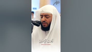 الشيخ وديع اليمني تلاوة مؤثرة تأخذ بمجامع القلب ( فلا صدق ولا صلى ) سورة القيامة