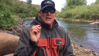 Colorado River Fishing Report 8/26/16