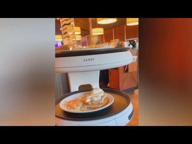 Robots at Persis Indian Grill