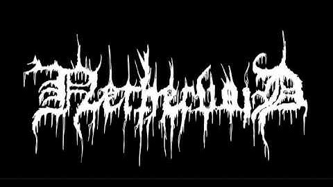 Nethervoid - "Empty Field Eloquence" (2011) New Song