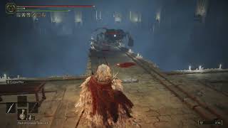 Came back over leveled, and still got...ummmm leveled - ELDEN RING Fail