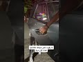 لما يفوت على حياتك   أول مرة