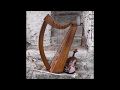 Sean barry tri martolod bretagne brittany celtic harp flute piano percussion copyright