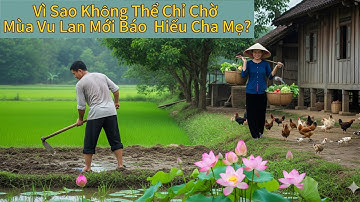 Vì Sao Không Thể Chỉ Chờ Mùa Vu Lan Mới Báo  Hiếu Cha Mẹ?| NMT T2015