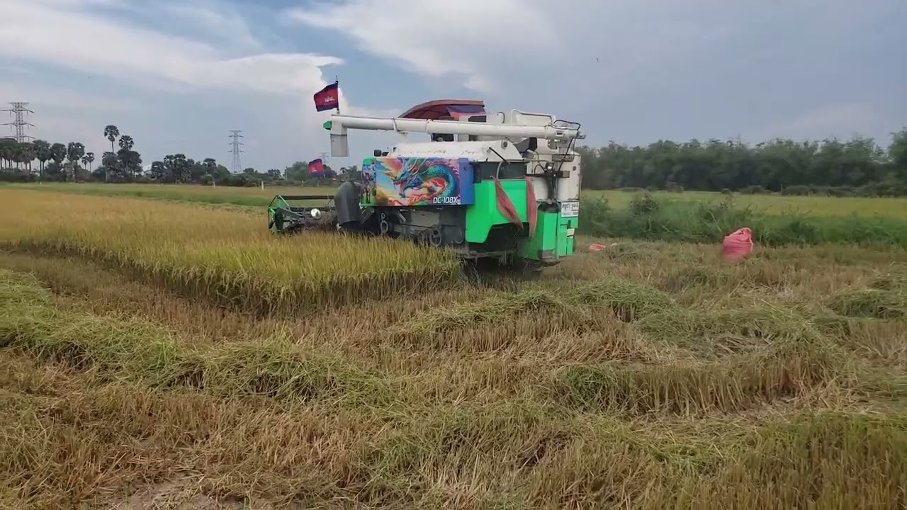 Rice harvester។ #tools #diy #shorts