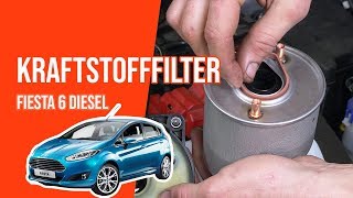 Wie FIESTA 6 1.4 TDCI Kraftstofffilter wechseln ⛽