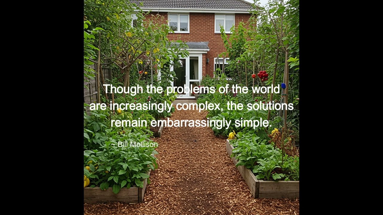 Though the problems of the world are increasingly complex the solutions remain embarrassingly simple