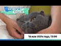 Новости Алтайского края 16 мая 2024 года, выпуск в 13:00