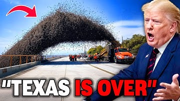 Footage From Texas Reveals the Horrifying Fire Ant Aftermath Nobody Expected