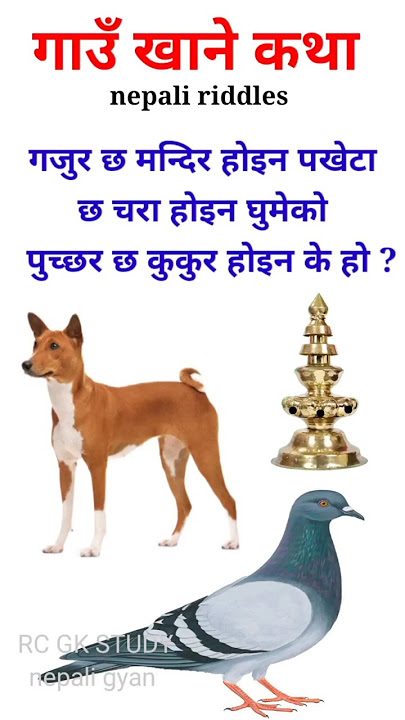 Gau khane katha maha jodi | funny quiz | gau khane katha easy | #trending #ytshorts
