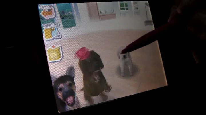 Nintendogs guide - Part 2