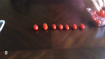 Guess How Many? Math Estimation Activity