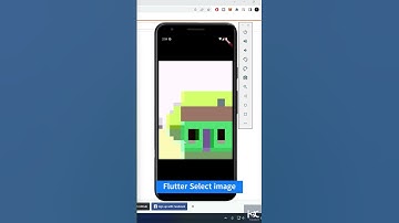 Select image from Gallery and Camera - Flutter Tutorial