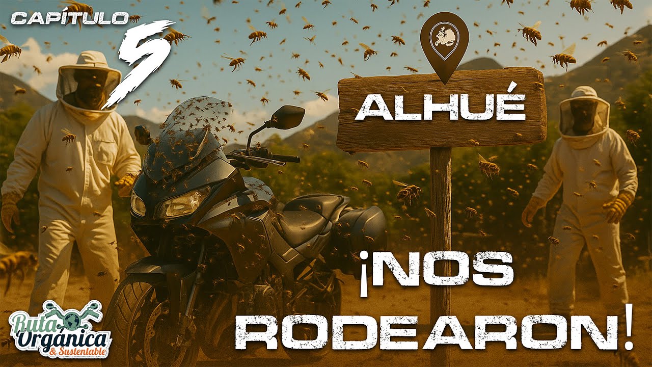🍯 MIEL DE ALHUÉ: ¿El Tesoro Orgánico MEJOR GUARDADO de Chile? | Desafíos y Secretos Apícolas