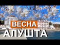 Алушта. Весна пришла. Набережная и Профессорский (рабочий) уголок. Пошла Кефаль. Капитан Крым