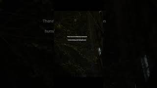 You’re not truly human until you learn to be kind. 💭✨#Humanity #KindnessMatters #bekind