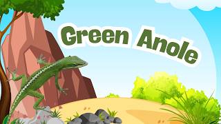 the green anoles secret strategy for modern living