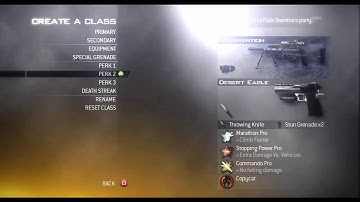 FaZe Stamina | Mw2 Class Setup!