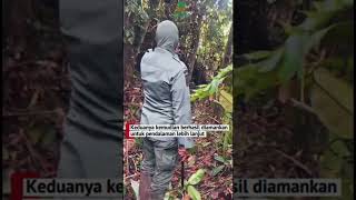 Patroli Gabungan Kementerian Kehutanan Di SM Rawa Singkil, Aceh