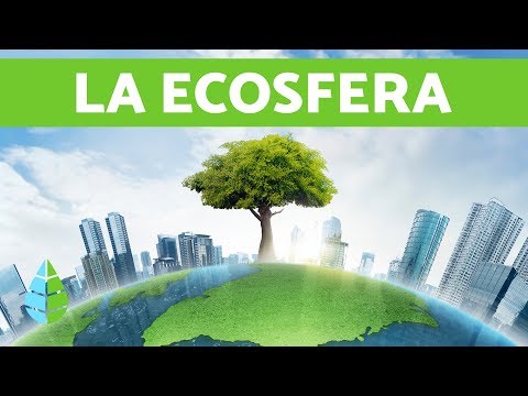 Qué es la ECOSFERA - ECOSISTEMAS pequeño documental