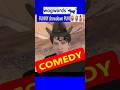 Wild Laughs SOLVE Game 187 😂🧩🦁#Comedy #Shorts #LOL 🤣