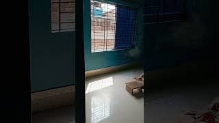 Room Transformationl Video