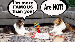 'I'm more FAMOUS than YOU!'  a Biscuit Talky Compilation on Cricket 'the Sheltie' Chronicles e129