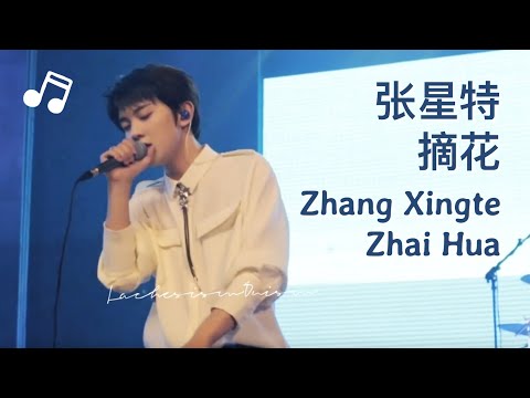 [Live] Zhang Xingte sings “Zhai Hua” (Pick Flowers)｜new song【张星特】新歌《摘花》完整版现场首唱！中国风歌曲，还有粤语～ 星球环游武汉巡演