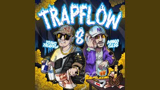 Trapflow 8