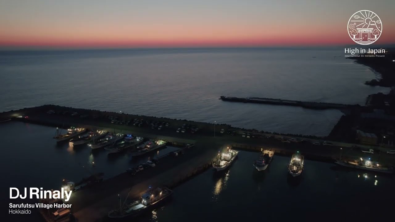 NERVO, Tube & Berger    Lights Down Low Kryder Extended Remix ｜HIGH IN JAPAN